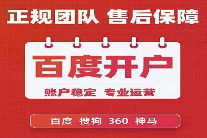 SEM推广竞价托管成功案例解析
